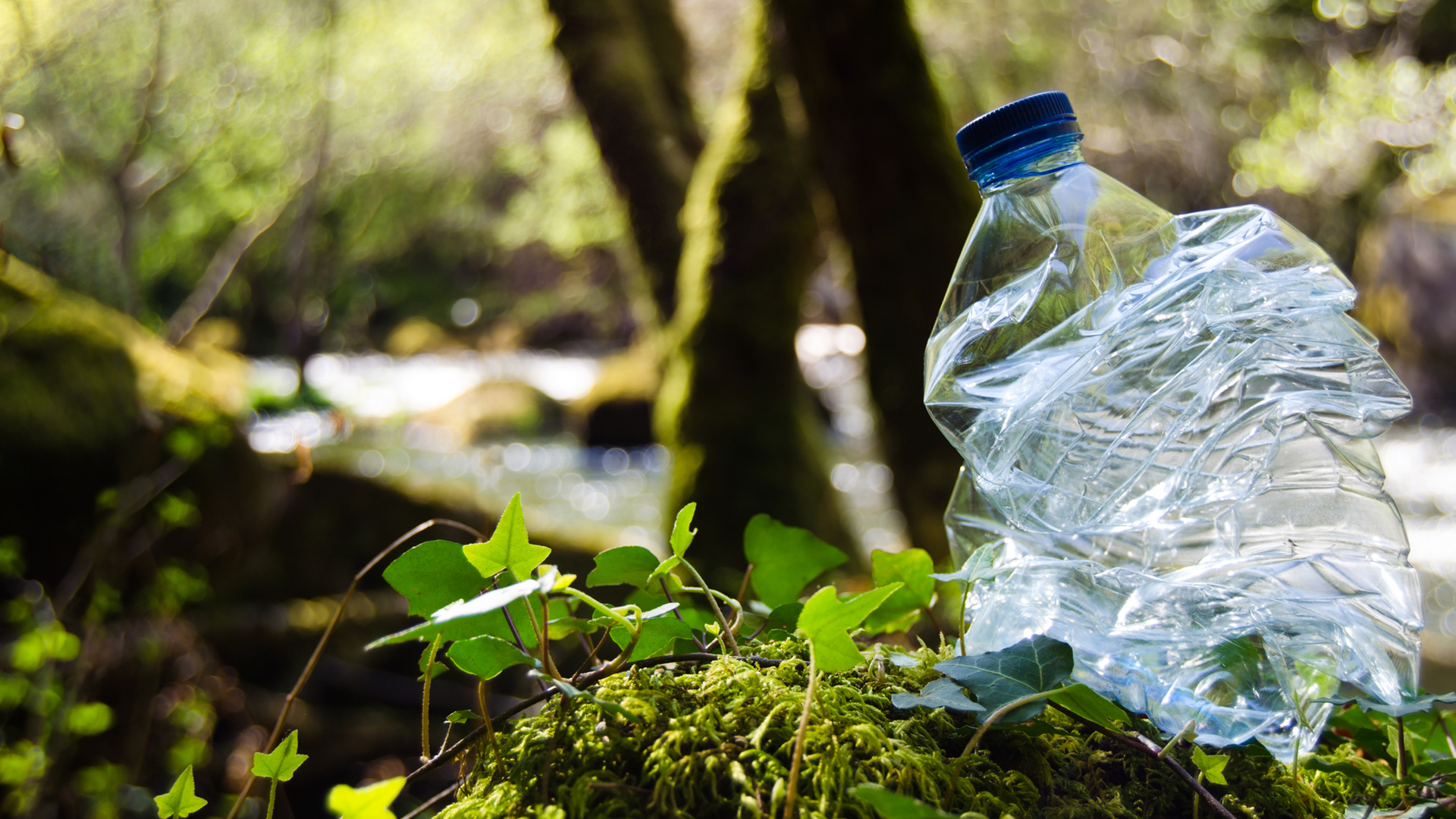 bio-based plastics material natural joint stock