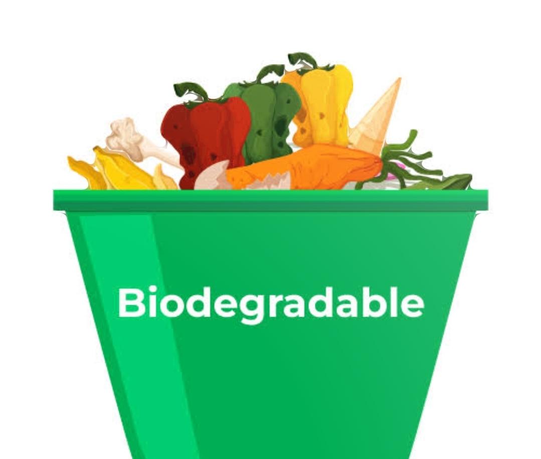biodegradable products natural joint stock eco