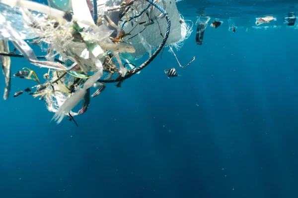 ocena-bound plastic njsc